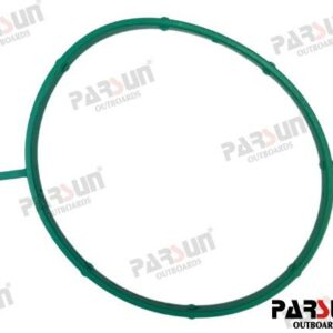 JUNTA MODULO TPS PAF115-05060004