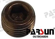 STOPPER 1/4" - 18NPT PAF15-07010005