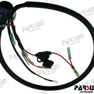 CDI CABLE ASSY (10 PIN) PAF20-05000061EFI