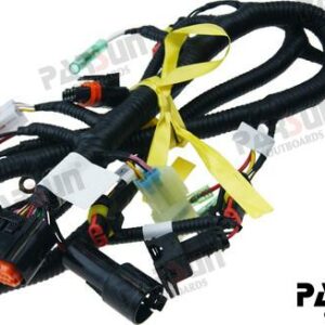 ARNES ECU ARRANQUE EBM PAF20-05001700MEFI-B