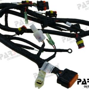 ECU CABLE ASSY FOR "W" MODELS PAF20-05001700MEFIA
