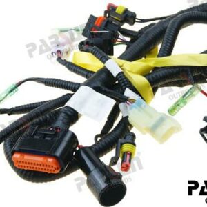 ECU CABLE ASSY "M" MODELS PAF20-05001700MEFIB