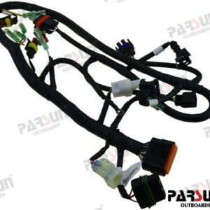ECU CABLE ASSY PAF20-05001700WEFIA