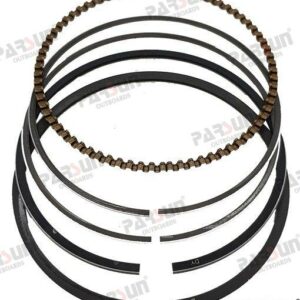 PISTON RING  ASSY PAF6-04020002