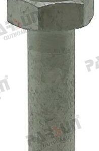 SCREW, START MOTOR PAF60-05000042