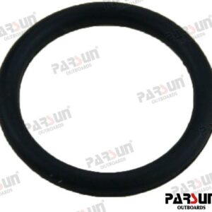 O'RING 13X2 PAGB3452.1-13X2