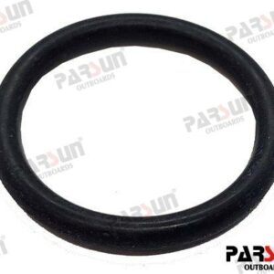O RING F20.2X2.4 PAGB/T3452.1-20.2X2