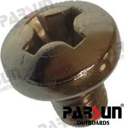 SCREW PAN HEAD M8X10 PAGB/T818-M8X10