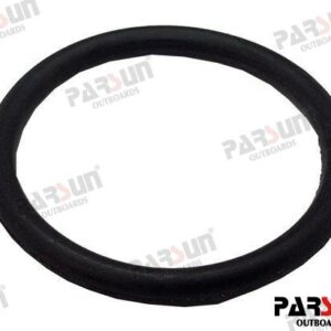 O-RING PAJASOF404-A-24-021