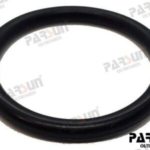 O-RING 24.7X3.1 PAJB/T7757.2-1995