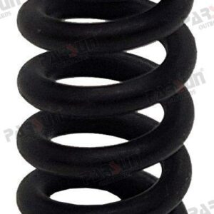 SPRING PAT40-10030001