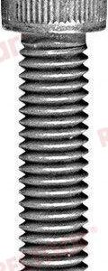 TORNILLO ANODO COLA REC10-32470