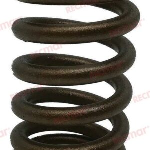 SPRING: VALVE 262,305,350 REC11500