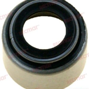 RETEN VALVULA ESCAPE REC119171-11150