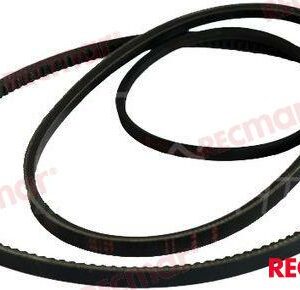 CORREA REC119578-42360