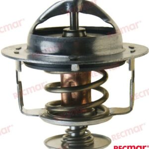 TERMOSTATO  70º REC119773-49550