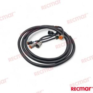 EXTENSION ARNES 10FT (3M) REC176334