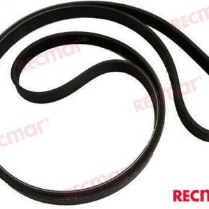 CORREA SERPENTIN REC21407028