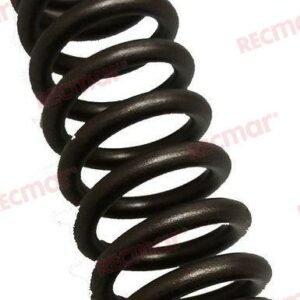 MUELLE VALVULA REC3183211