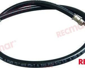 LATIGUILLO REC32-59842