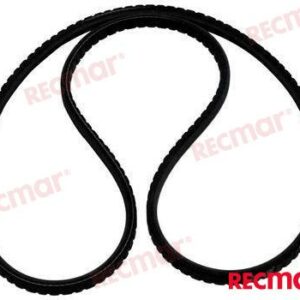 CORREA DIRECCION REC57-816295Q