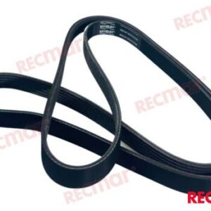 CORREA SERPENTIN REC57-879172120