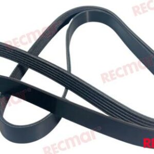 CORREA REC57-8M0088876