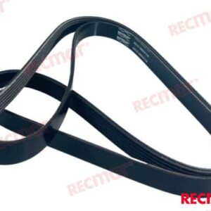 CORREA REC57-8M0097728