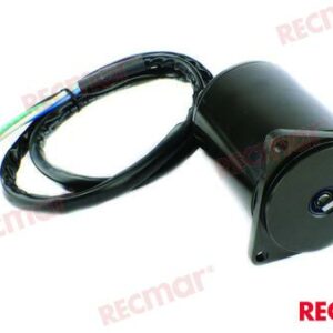 MOTOR DE TRIM YAMAHA REC61A-43880-02