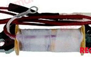 BOBINA IGNICION REC689-81311-40