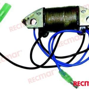 BOBINA DE CARGA REC69P-85541-09