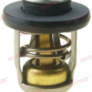 TERMOSTATO 60º REC855676002