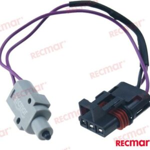 MICRORRUPTOR REC87-808009A2