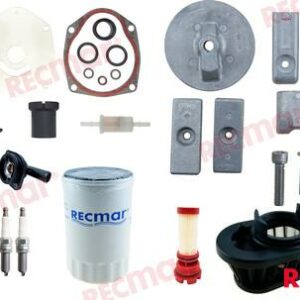 KIT MANTENIMIENTO MERCURY RECKITMERVERADO6