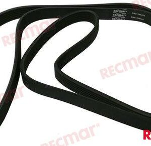 CORREA SERPENTIN RM21405494