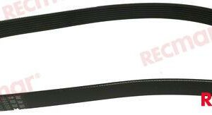 CORREA SERPENTIN RM3582424